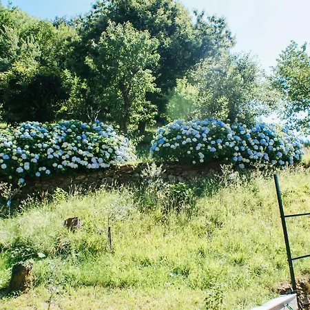 Holiday home Valle Dei Mulini -